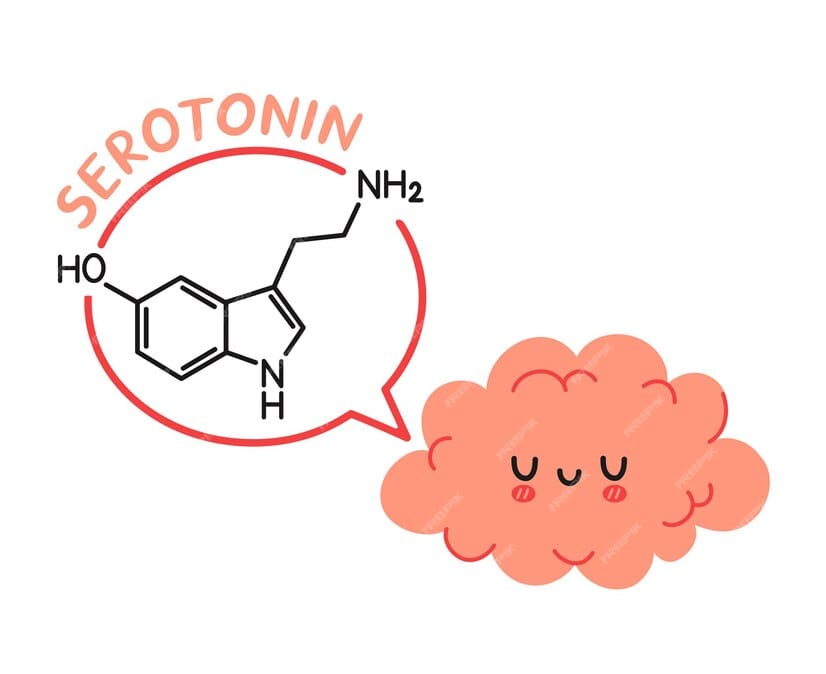 El Poder de la Serotonina: Cómo Aumentar la Serotonina 9 Formula de la Serotonina y un dibujo de un cerebro