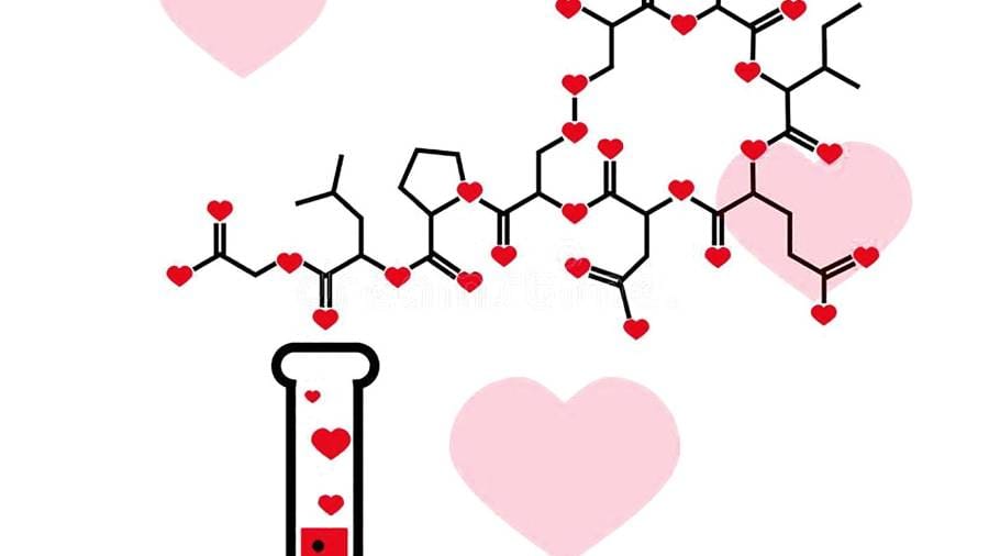 Cómo Aumentar la Oxitocina para Mejorar La Salud Emocional 8 Que es la oxitocina y como aumentarla