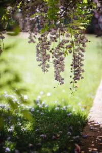 la Metafora del jardin. autocuidado emocional